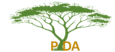 PDA